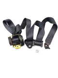 RAM1500   1996 Seat Belt Front 586631