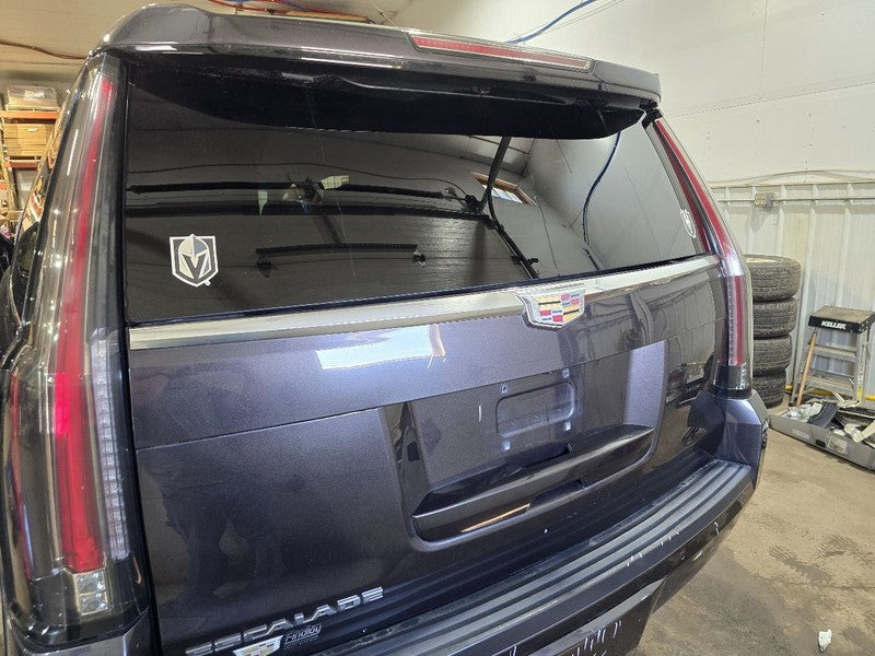 Trunk/Hatch/Tailgate Privacy Tint Glass Opt Ako Fits 15-16 ESCALADE 63