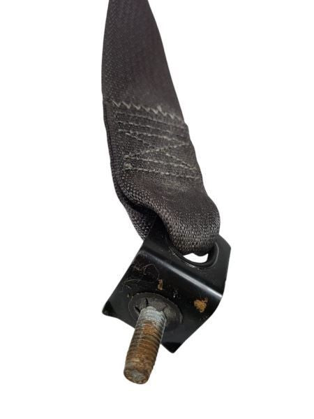FLEX      2018 Seat Belt Rear 598457