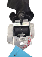 EXPLORER  2020 Seat Belt Rear 629440