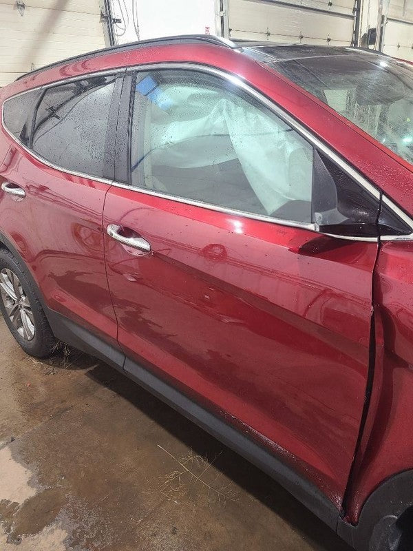 Passenger Right Front Door LWB Fits 15-19 SANTA FE 652643
