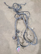 SIEDENALI 2010 Lamp Wiring Harness 613215