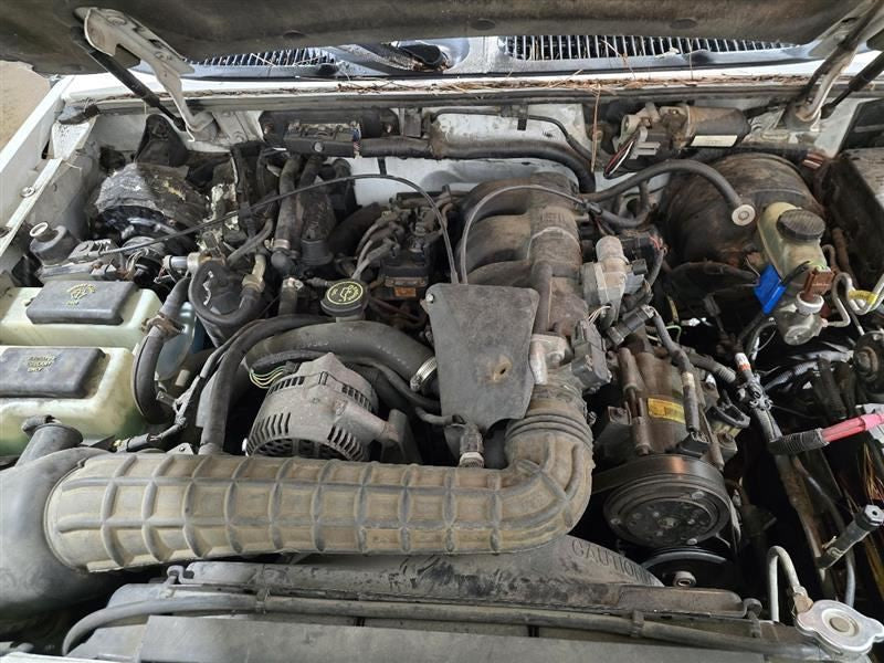 EXPLORER  1995 Seat Belt Front 606853