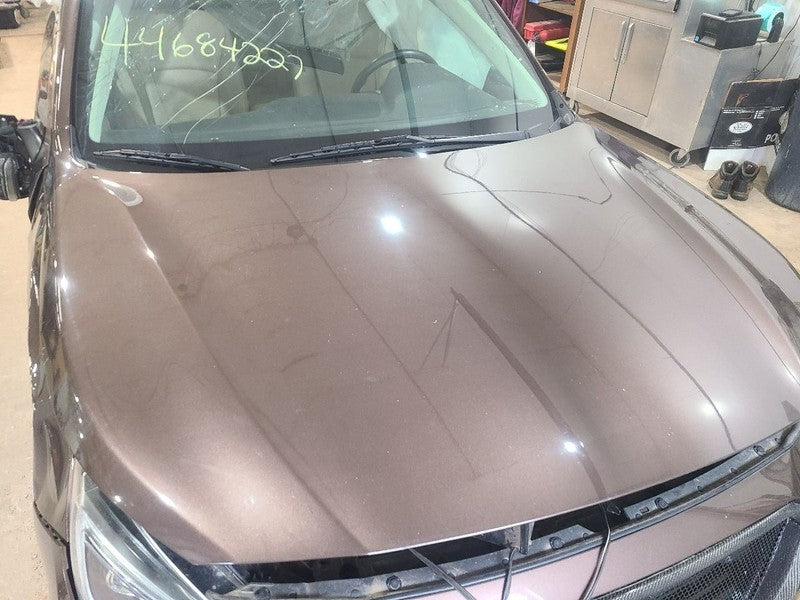 Hood Fits 15-19 LEGACY 666361