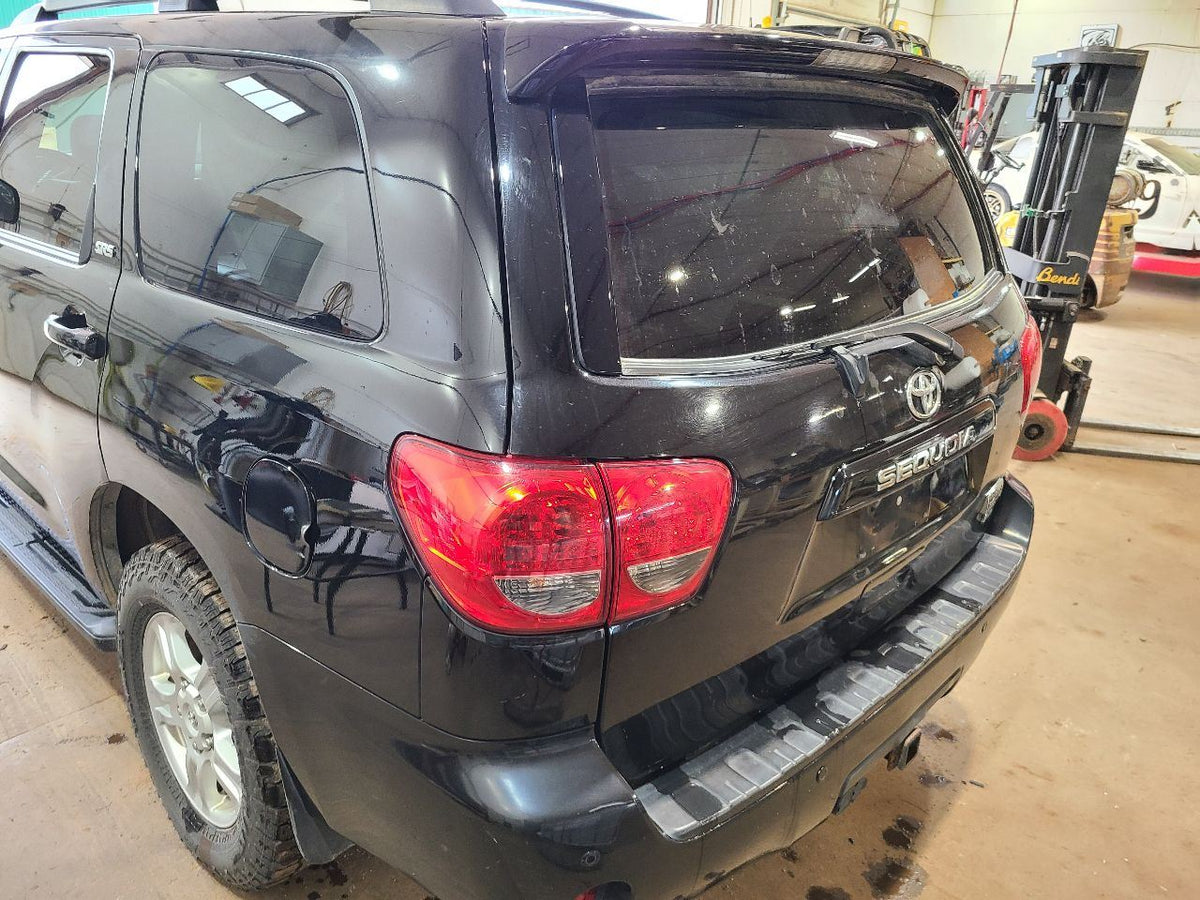 SEQUOIA   2013 Body Wire Harness 678226